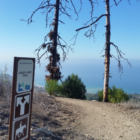 Eagle's Nest Trail - go to the right