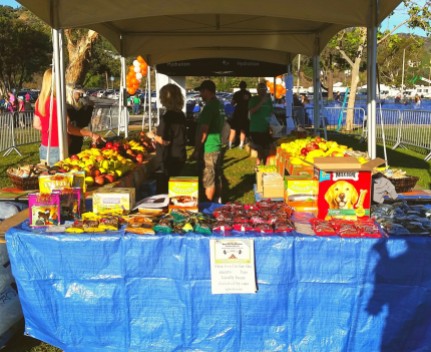 Snack table for human and canine race participants